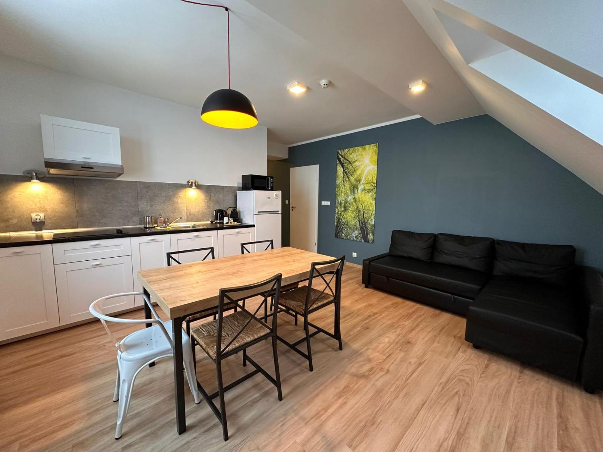 דוז'ניקי ז'דרוז' Apartamenty Zieleniec חדר תמונה
