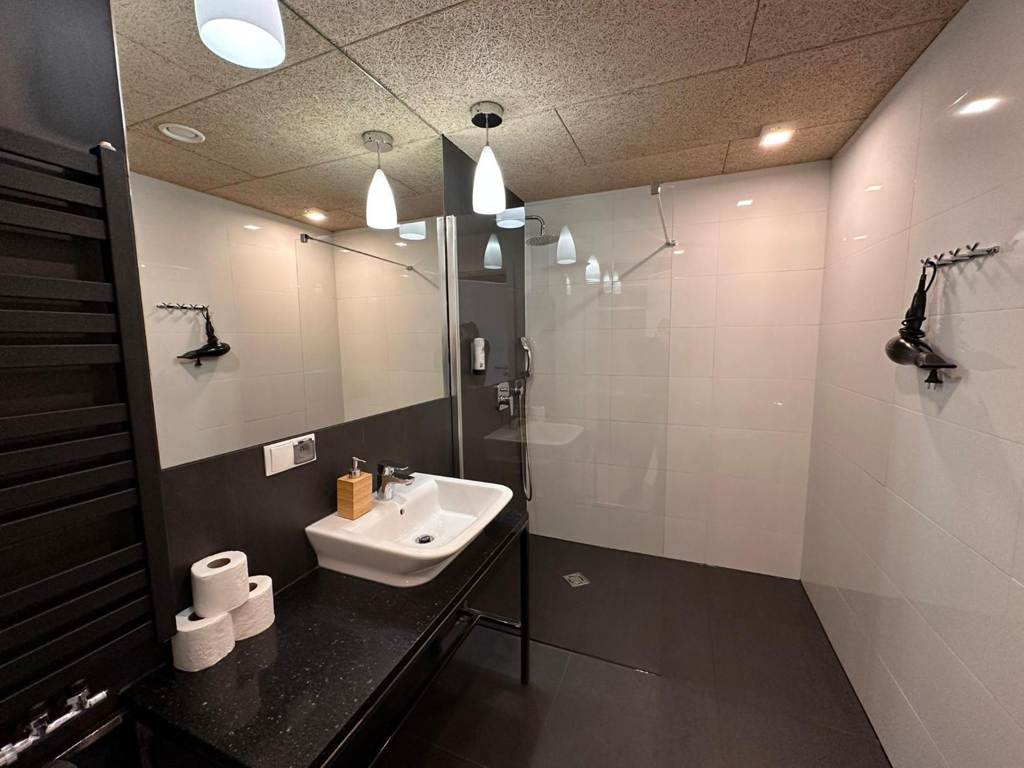דוז'ניקי ז'דרוז' Apartamenty Zieleniec חדר תמונה