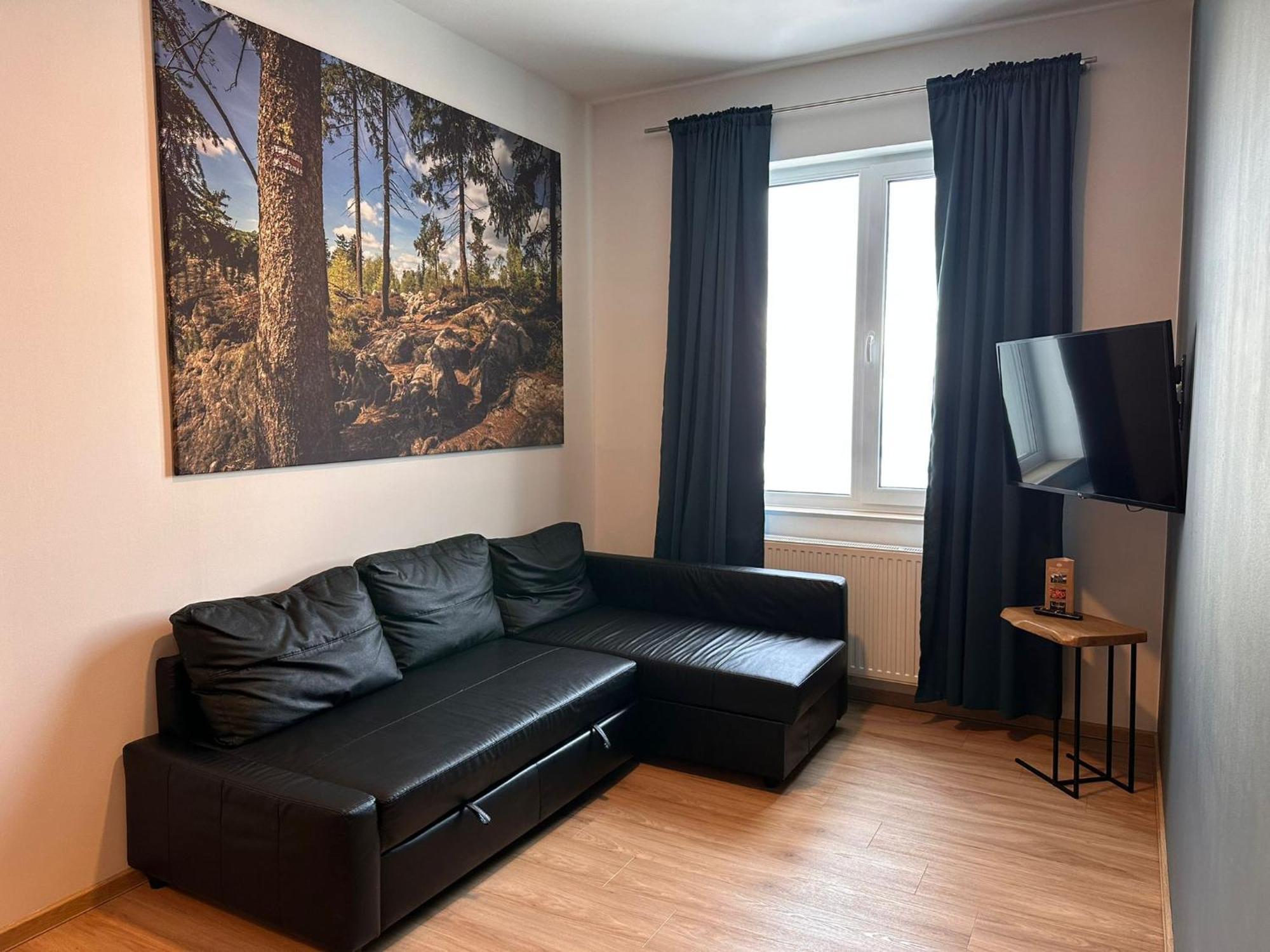 דוז'ניקי ז'דרוז' Apartamenty Zieleniec חדר תמונה